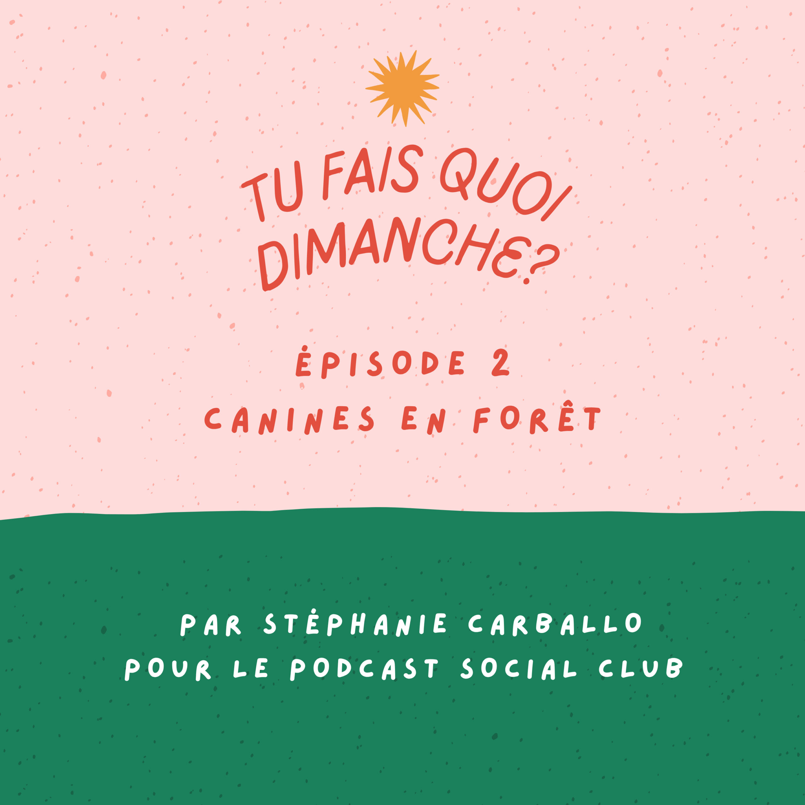 Lire la suite à propos de l’article Canines en forêt (épisode 2)